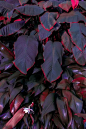 LUER [http://245553240.qzone.qq.com]