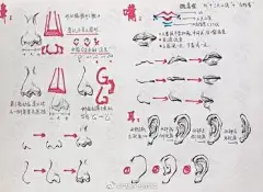 速写人物上半身要点 ​​​​