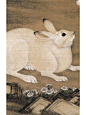 文物之美·古画中的兔子们·美学设计学习