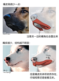 黑猫与伯爵采集到教程