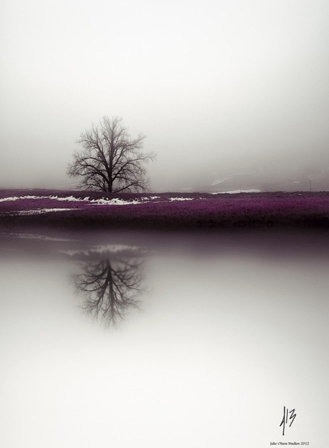 Lonely Reflection by...