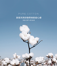 斯卡布罗集市ö采集到参考
