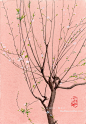 水彩插画——李花树-Jessie一颗豆子_水彩,手绘,植物,树,插画_涂鸦王国插画