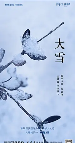 地产二十四节气大雪海报