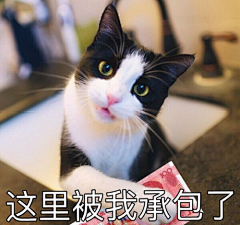 Alin先生采集到表情 搞笑