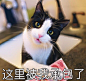QQ截图20170417132156