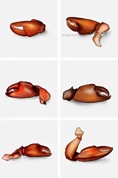 手绘食物蟹钳虾钳图片大小2000x3020px 图片尺寸1.83 MB 来自PNG搜索网 pngss.com 免费免扣png素材下载！湖南#卡通手绘#辣椒#辣味#龙虾#麻辣小龙虾#美食#食物#手绘#香辣#小吃#小龙虾插画#蟹钳#