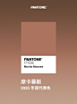 官宣 | Pantone 2025 年度代表色正式发布 - 小红书