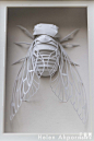 #纸艺# #手工# #DIY#英国艺术家Helen Ahpornsiri 纸雕——蝉。来源：手艺网http://www.91craft.com/weiba/post_7458.html