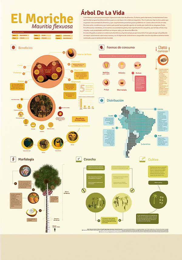 Infografía Árbol de ...