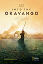 Into The Okavango 