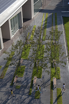 飞旋的叶子采集到Landscape 2.城市公共空间（社区公园丨公园）