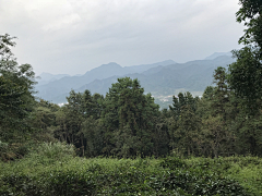 陌莎采集到C-场景背景