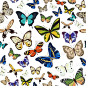 Seamless pattern with different types of multicolo