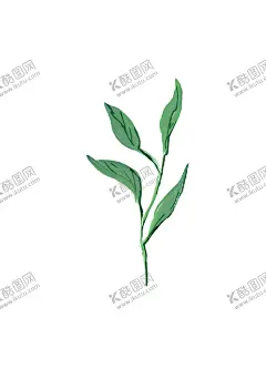 水粉花卉素材花型 【酷图网】美丽,浪漫,手绘,花叶,水粉,颜料,手工,绘制,婚礼,请柬,贺卡,礼物,标签,文具,商店,博客,横幅,背景,框架,花束,叶子,花朵,花纹,植物