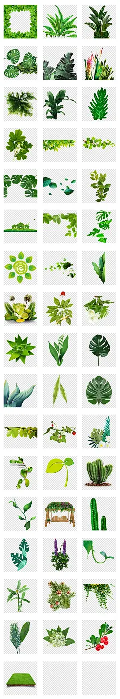 手绘水彩热带植物树叶芭蕉叶png免扣素材