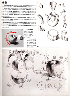 4663232采集到人体结构