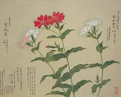 文化艺术鉴赏师的照片 - 微相册正月：兰蕙芬。瑞香烈。樱桃始葩。径草绿。望春初放。百花萌动。 
二月：桃始夭。玉兰解。紫荆繁。杏花饰其靥。梨花溶。李花白。 
三月：蔷薇蔓。木笔书空。棣萼韡韡。杨入大水为萍。海棠睡。绣球落。 
四月：牡丹王。芍药相于阶。罂粟满。木香上升。杜鹃归。荼穈香梦。 
五月：榴花照眼。萱北乡。夜合始交。薝匐有香。锦葵开。山丹赪。 
六月：桐花馥。菡萏为莲。茉莉来宾。凌霄结。凤仙绛于庭。鸡冠环户。 
七月：葵倾日。玉簪搔头。紫薇浸月。木槿朝荣。蓼花红。菱花乃实。 
八月：槐花黄。桂香飘