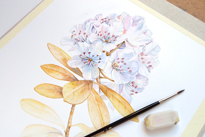 Floral patterns and ...