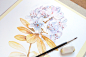 Floral patterns and illustrations for Royal Insignia : Floral watercolor patterns by Kateryna Savchenko