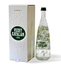 vichy1