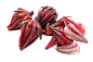 玫瑰茄png