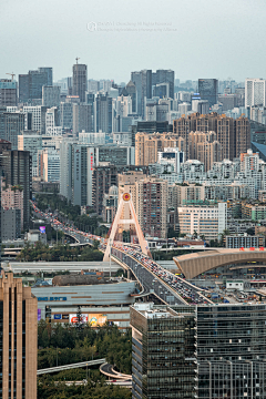 丨海绵宝哥丨采集到城市