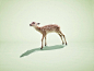 Open Eye Photography Blog — Designspiration