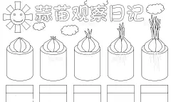 蓝色简约手绘蒜苗植物生长蒜苗观察日记成长日记手抄报
