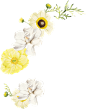 花  素材  png  index-0.png (564×717)