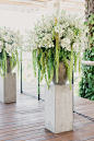 Amaranthus and White Delphinium Ceremony Accent