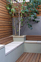 contemporary #garden seating and planting