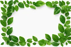 树叶绿叶背景元素边框元素
