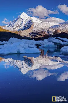 萨普 | 世界屋脊的雪山精灵，惊鸿一瞥见之难忘