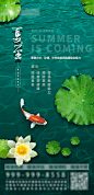 荷叶鲤鱼夏至海报-源文件