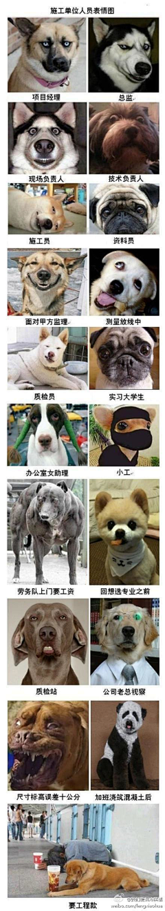 才才儿采集到表情包