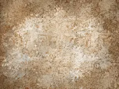 棕色旧水彩纸背景纹理。陈年磨损浅米色白色空白壁画羊皮纸。古色古香的古色古香的复古手稿卷轴模板。纹理大
