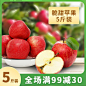 电商食品水果产品展示直通车主图