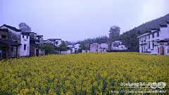 宏村婺源行之四:未干的水粉画