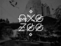 Behance-Nicolas Galkowski-Axo Zoo 01