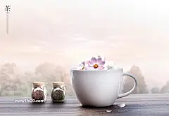 创意文化茶叶茶园花茶绿色叶子文化海报