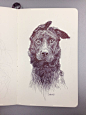 Dog by Dan Mora,