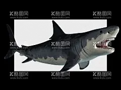 鲨鱼  - 源文件下载【酷图网】鲨鱼,矢量鲨鱼,卡通鲨鱼,手绘鲨鱼,鲨鱼插画,鲨鱼插图,线条鲨鱼,线描鲨鱼,发怒,牙齿,可爱鲨鱼,海水,矢量海水,海浪,矢量海浪,矢量海洋生物,卡通海洋生物,手绘海洋生物,海洋生物插画,海洋生物插图,鲨鱼集合,鲨鱼合集,鲨鱼吉祥物,设计,生物世界,