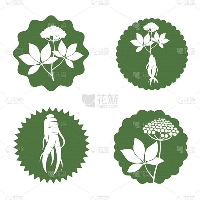 人参,标签,华丽的,健康保健,一个物体,...