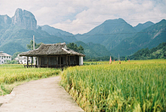 xxxxpoem采集到风景