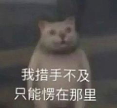 纯情大母牛采集到糖力