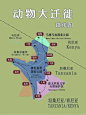 肯尼亚｜动物大迁徙｜一生必去的地方 - 小红书