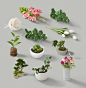 化妆品贴图样机元素[1] Plants & Flowers :