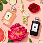 #jomalone | Tofo.me · Instagram网页版