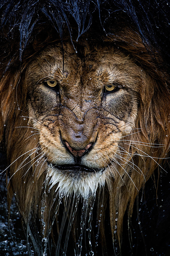 alice44:

Eyes Water...